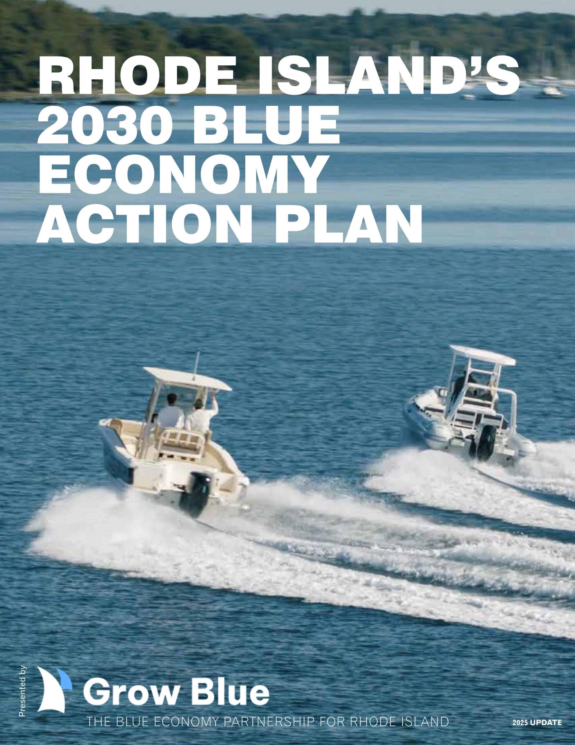 Grow Blue Action Plan 2025 cover
